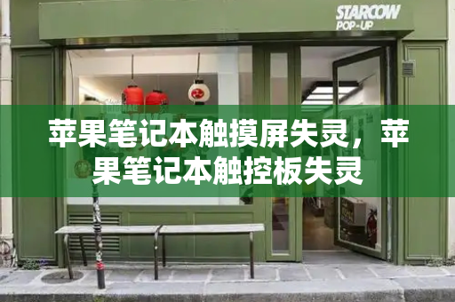 苹果笔记本触摸屏失灵，苹果笔记本触控板失灵