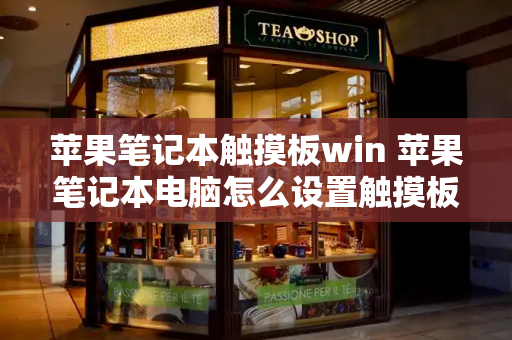 苹果笔记本触摸板win 苹果笔记本电脑怎么设置触摸板