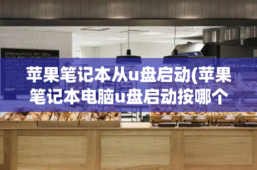 苹果笔记本从u盘启动(苹果笔记本电脑u盘启动按哪个键)-第1张图片-星选测评
