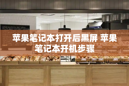 苹果笔记本打开后黑屏 苹果笔记本开机步骤-第1张图片-星选测评