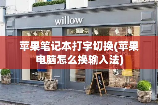苹果笔记本打字切换(苹果电脑怎么换输入法)