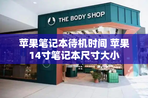 苹果笔记本待机时间 苹果14寸笔记本尺寸大小-第1张图片-星选测评