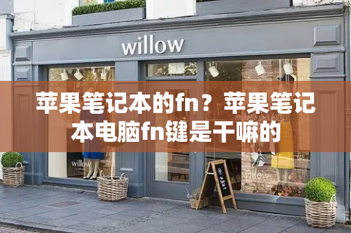 苹果笔记本的fn？苹果笔记本电脑fn键是干嘛的-第1张图片-星选测评