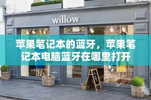 苹果笔记本的蓝牙，苹果笔记本电脑蓝牙在哪里打开