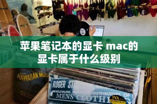 苹果笔记本的显卡 mac的显卡属于什么级别