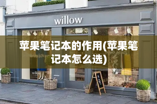 苹果笔记本的作用(苹果笔记本怎么选)