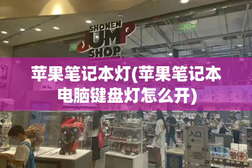 苹果笔记本灯(苹果笔记本电脑键盘灯怎么开)