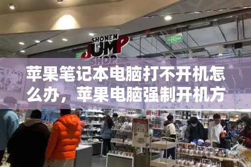 苹果笔记本电脑打不开机怎么办，苹果电脑强制开机方法