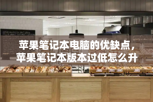 苹果笔记本电脑的优缺点，苹果笔记本版本过低怎么升级