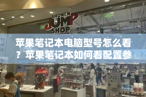 苹果笔记本电脑型号怎么看？苹果笔记本如何看配置参数-第1张图片-星选测评