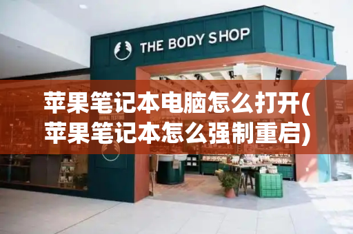 苹果笔记本电脑怎么打开(苹果笔记本怎么强制重启)-第1张图片-星选测评