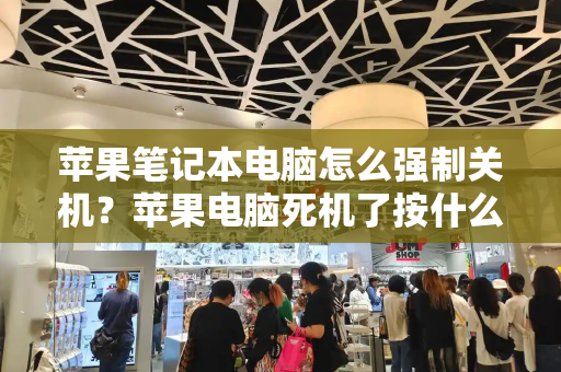 苹果笔记本电脑怎么强制关机？苹果电脑死机了按什么键-第1张图片-星选测评