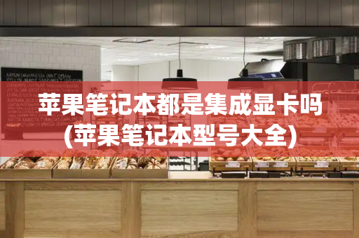苹果笔记本都是集成显卡吗(苹果笔记本型号大全)-第1张图片-星选测评