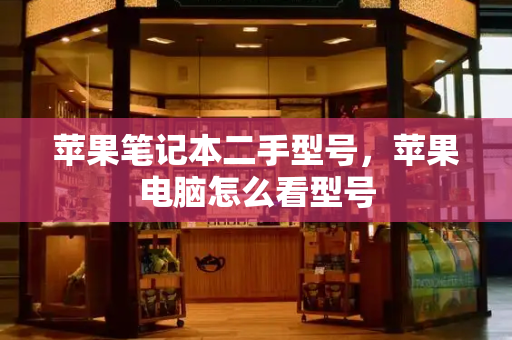 苹果笔记本二手型号，苹果电脑怎么看型号