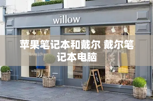 苹果笔记本和戴尔 戴尔笔记本电脑-第1张图片-星选测评