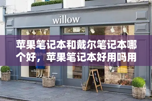 苹果笔记本和戴尔笔记本哪个好，苹果笔记本好用吗用起来方便不-第1张图片-星选测评