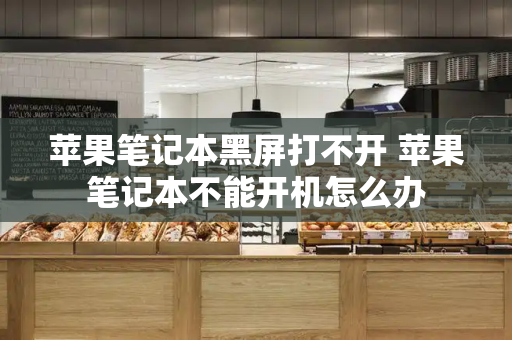 苹果笔记本黑屏打不开 苹果笔记本不能开机怎么办