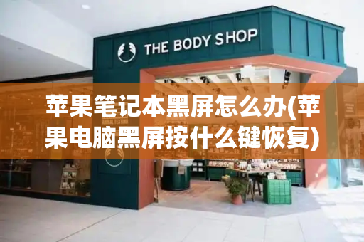 苹果笔记本黑屏怎么办(苹果电脑黑屏按什么键恢复)-第1张图片-星选测评