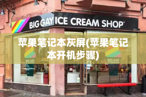 苹果笔记本灰屏(苹果笔记本开机步骤)-第1张图片-星选测评