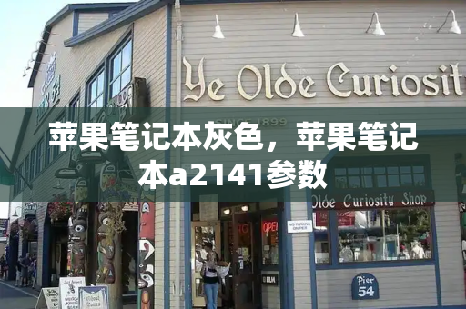苹果笔记本灰色，苹果笔记本a2141参数
