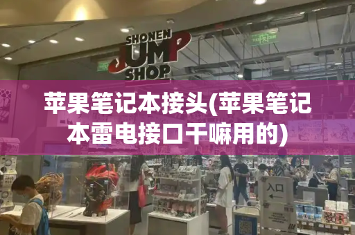 苹果笔记本接头(苹果笔记本雷电接口干嘛用的)-第1张图片-星选测评