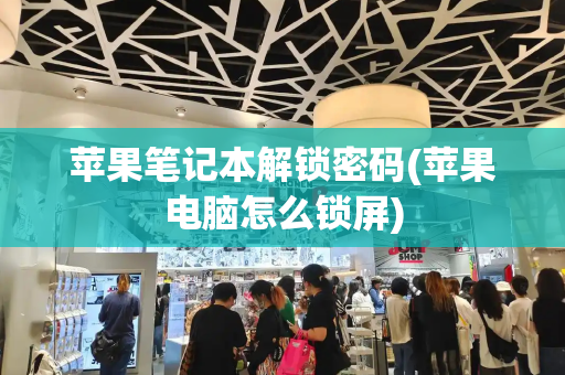 苹果笔记本解锁密码(苹果电脑怎么锁屏)