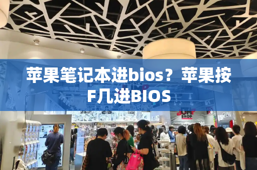 苹果笔记本进bios？苹果按F几进BIOS