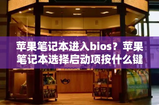 苹果笔记本进入bios？苹果笔记本选择启动项按什么键