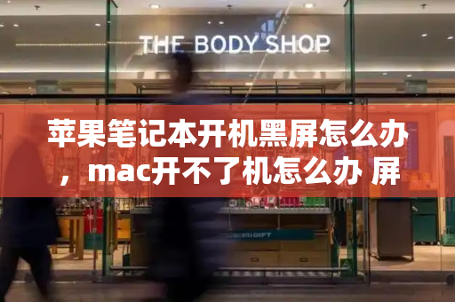 苹果笔记本开机黑屏怎么办，mac开不了机怎么办 屏幕黑屏-第1张图片-星选测评