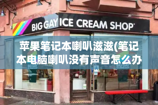 苹果笔记本喇叭滋滋(笔记本电脑喇叭没有声音怎么办)