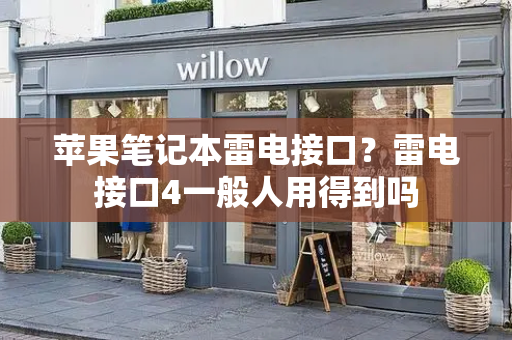 苹果笔记本雷电接口？雷电接口4一般人用得到吗