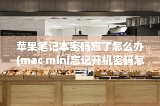 苹果笔记本密码忘了怎么办(mac mini忘记开机密码怎么办)