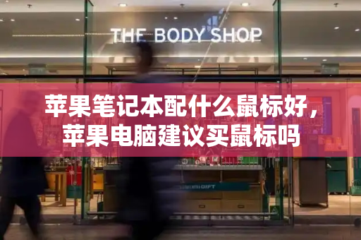 苹果笔记本配什么鼠标好，苹果电脑建议买鼠标吗-第1张图片-星选测评