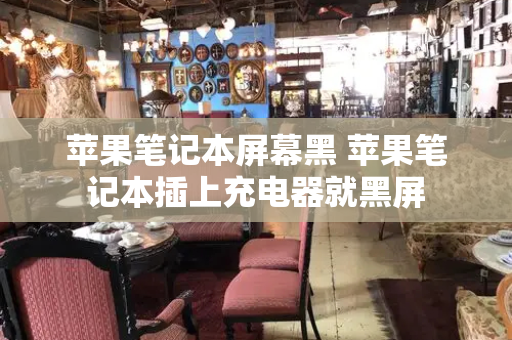 苹果笔记本屏幕黑 苹果笔记本插上充电器就黑屏