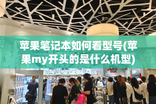 苹果笔记本如何看型号(苹果my开头的是什么机型)-第1张图片-星选测评