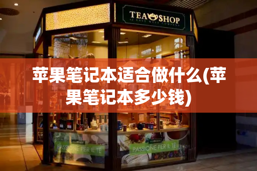 苹果笔记本适合做什么(苹果笔记本多少钱)-第1张图片-星选测评