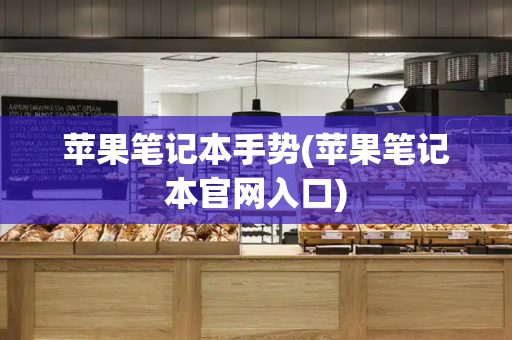 苹果笔记本手势(苹果笔记本官网入口)-第1张图片-星选测评