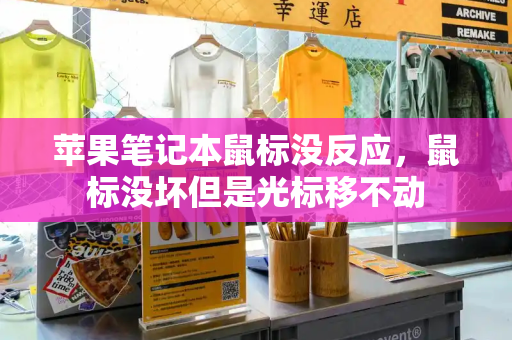 苹果笔记本鼠标没反应，鼠标没坏但是光标移不动