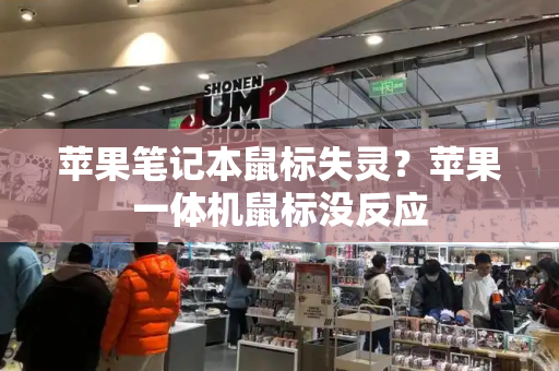 苹果笔记本鼠标失灵？苹果一体机鼠标没反应