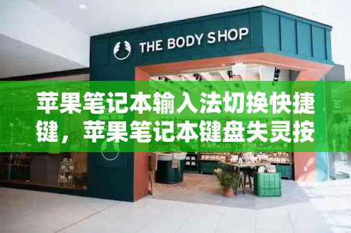 苹果笔记本输入法切换快捷键，苹果笔记本键盘失灵按什么键恢复