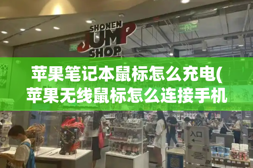 苹果笔记本鼠标怎么充电(苹果无线鼠标怎么连接手机)-第1张图片-星选测评