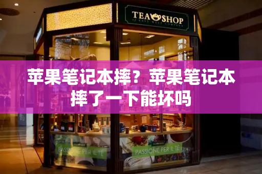 苹果笔记本摔？苹果笔记本摔了一下能坏吗-第1张图片-星选测评