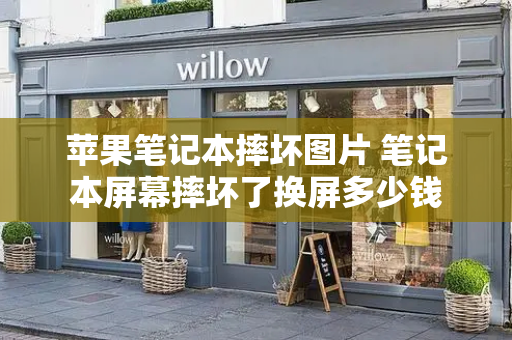苹果笔记本摔坏图片 笔记本屏幕摔坏了换屏多少钱