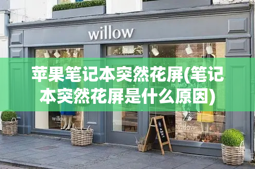 苹果笔记本突然花屏(笔记本突然花屏是什么原因)