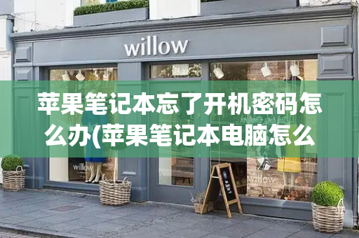 苹果笔记本忘了开机密码怎么办(苹果笔记本电脑怎么切换系统)-第1张图片-星选测评