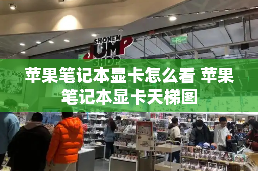 苹果笔记本显卡怎么看 苹果笔记本显卡天梯图-第1张图片-星选测评