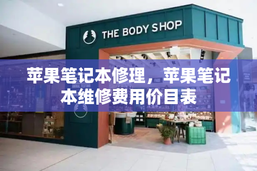 苹果笔记本修理，苹果笔记本维修费用价目表-第1张图片-星选测评