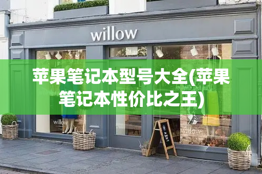 苹果笔记本型号大全(苹果笔记本性价比之王)