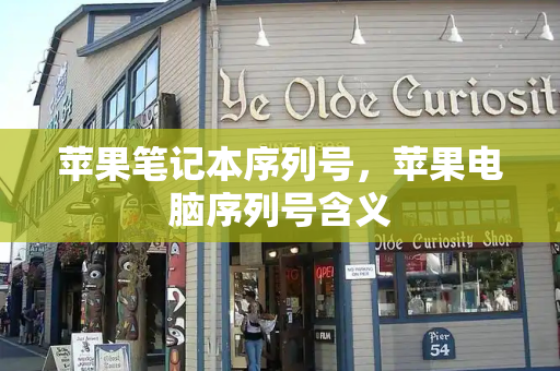 苹果笔记本序列号，苹果电脑序列号含义-第1张图片-星选测评