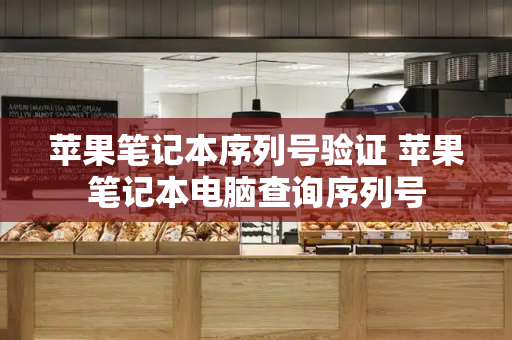苹果笔记本序列号验证 苹果笔记本电脑查询序列号